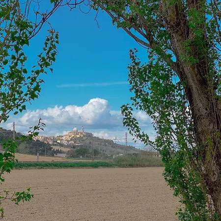 Appartamento 300mt Dalla Spiaggia, Wi-fi, Aria Condizionata E Parcheggio *